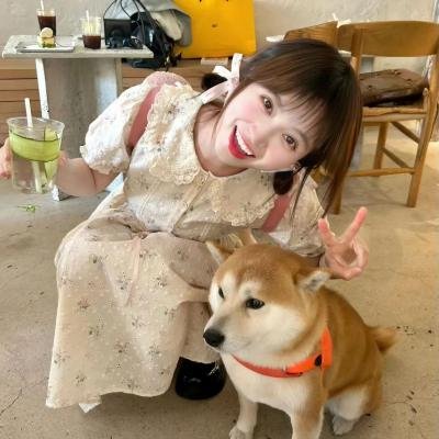 小小便骑士