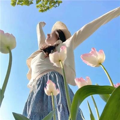 好莱坞芭比电影版